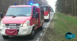 Fotka nr 2 z 3