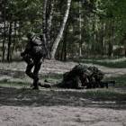 Fotka nr 2 z 6