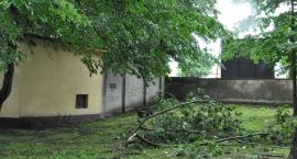zdjęcie nr 43