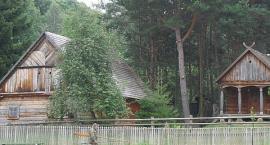 zdjęcie nr 14
