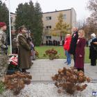 zdjęcie nr 58