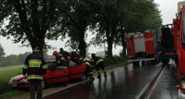 zdjęcie nr 7