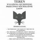 Fotka nr 2 z 3