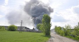 Fotka nr 3 z 10