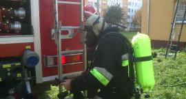 Fotka nr 4 z 8
