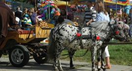 zdjęcie nr 59