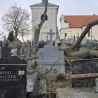 zdjęcie nr 59