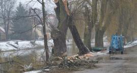 zdjęcie nr 8