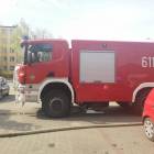 Fotka nr 4 z 14