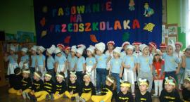 zdjęcie nr 16