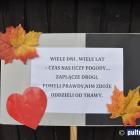 zdjęcie nr 115