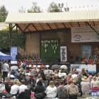 zdjęcie nr 100
