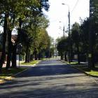zdjęcie nr 8