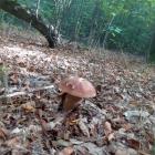 zdjęcie nr 33