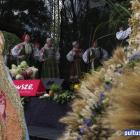 zdjęcie nr 322