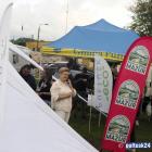 zdjęcie nr 376