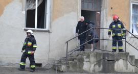 zdjęcie nr 10