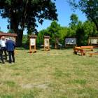 zdjęcie nr 32