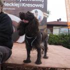 zdjęcie nr 199
