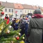 zdjęcie nr 23