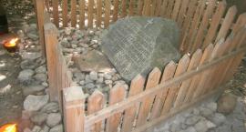 zdjęcie nr 9