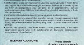 Fotka nr 3 z 4