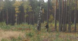 Fotka nr 5 z 19
