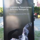zdjęcie nr 31