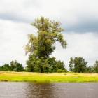 zdjęcie nr 11