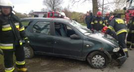Fotka nr 5 z 7
