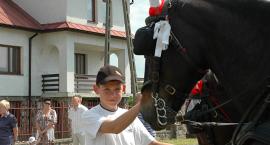 zdjęcie nr 13