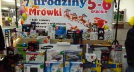 zdjęcie nr 13