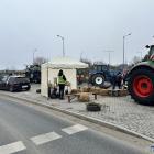 Fotka nr 2 z 20