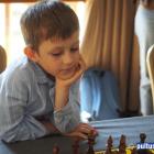 zdjęcie nr 23