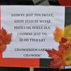zdjęcie nr 121