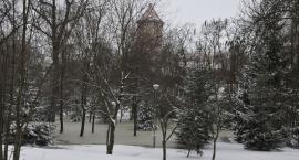 zdjęcie nr 18