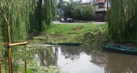 zdjęcie nr 8