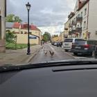 Fotka nr 2 z 4