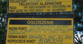 Fotka nr 0 z 7