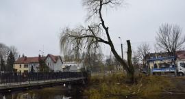 Fotka nr 1 z 5