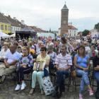 zdjęcie nr 13