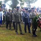zdjęcie nr 41