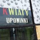 zdjęcie nr 12