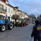 zdjęcie nr 13