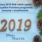 Fotka nr 5 z 9