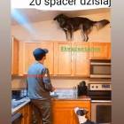 zdjęcie nr 13