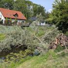 zdjęcie nr 13