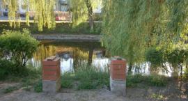 zdjęcie nr 8