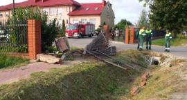 zdjęcie nr 10