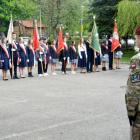 zdjęcie nr 49